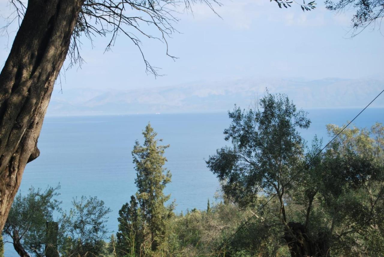 Villa Korakádes מראה חיצוני תמונה
